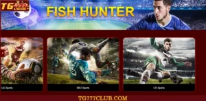 Bankroll discipline: the foundation of winning soccer betting